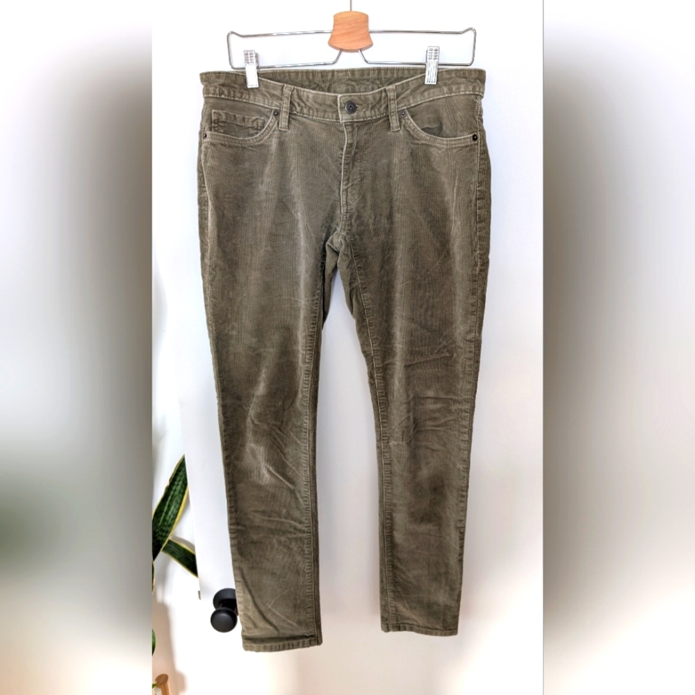 Patagonia cords